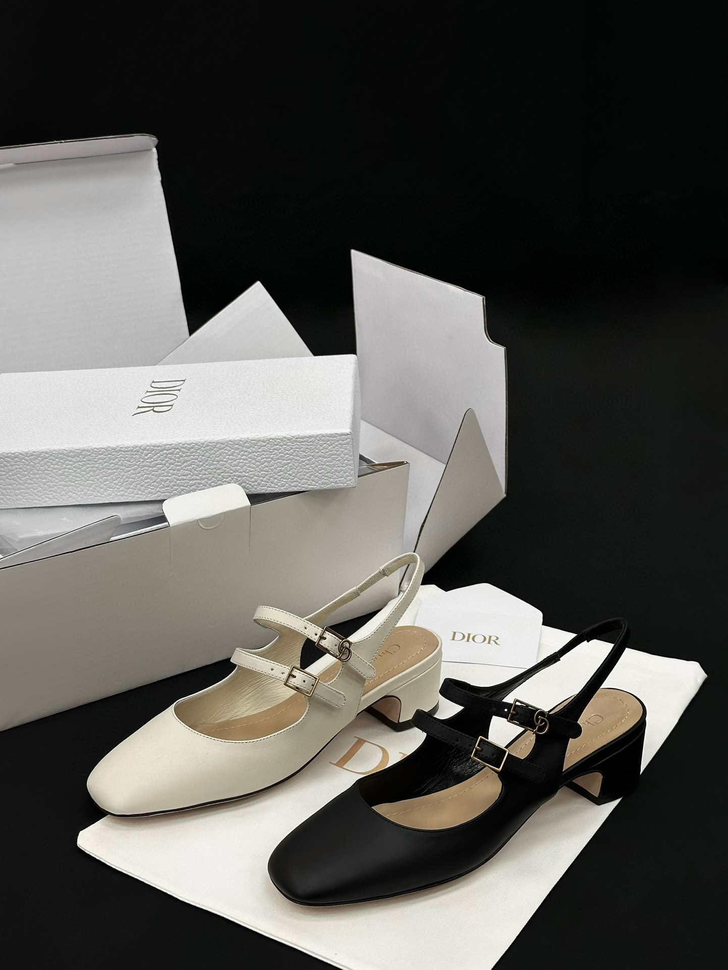 Dior Shoes