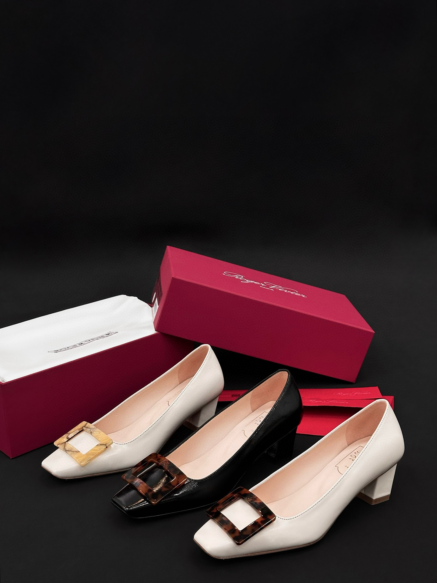 Roger Vivier Shoes